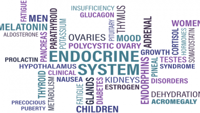 Photo of How do you treat endocrine disorders