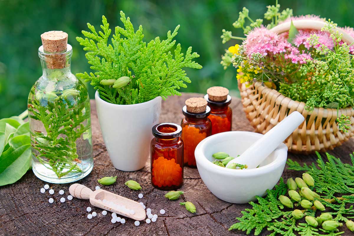 Are herbal medicines used as a drug?